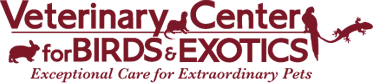 Exotics Logo