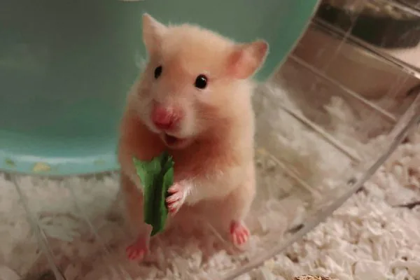 Img 20240624 Wa0010 Retouched (1)