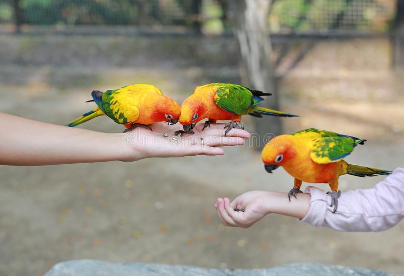 National Bird Day Veterinary Center for Birds and Exotics